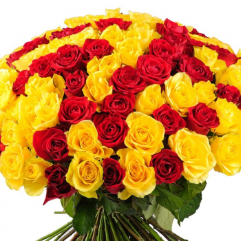Букет из 101 красной розы и желтой розы