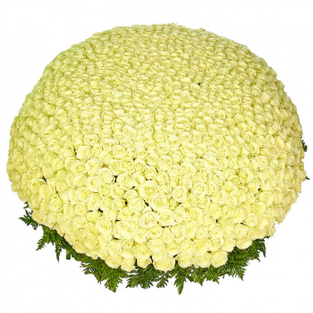 Корзина из 1001 белой розы с зеленью